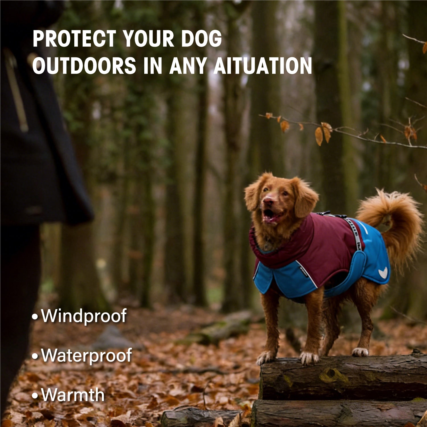 Dog Winter Outdoor Jacket Warm & Waterproof