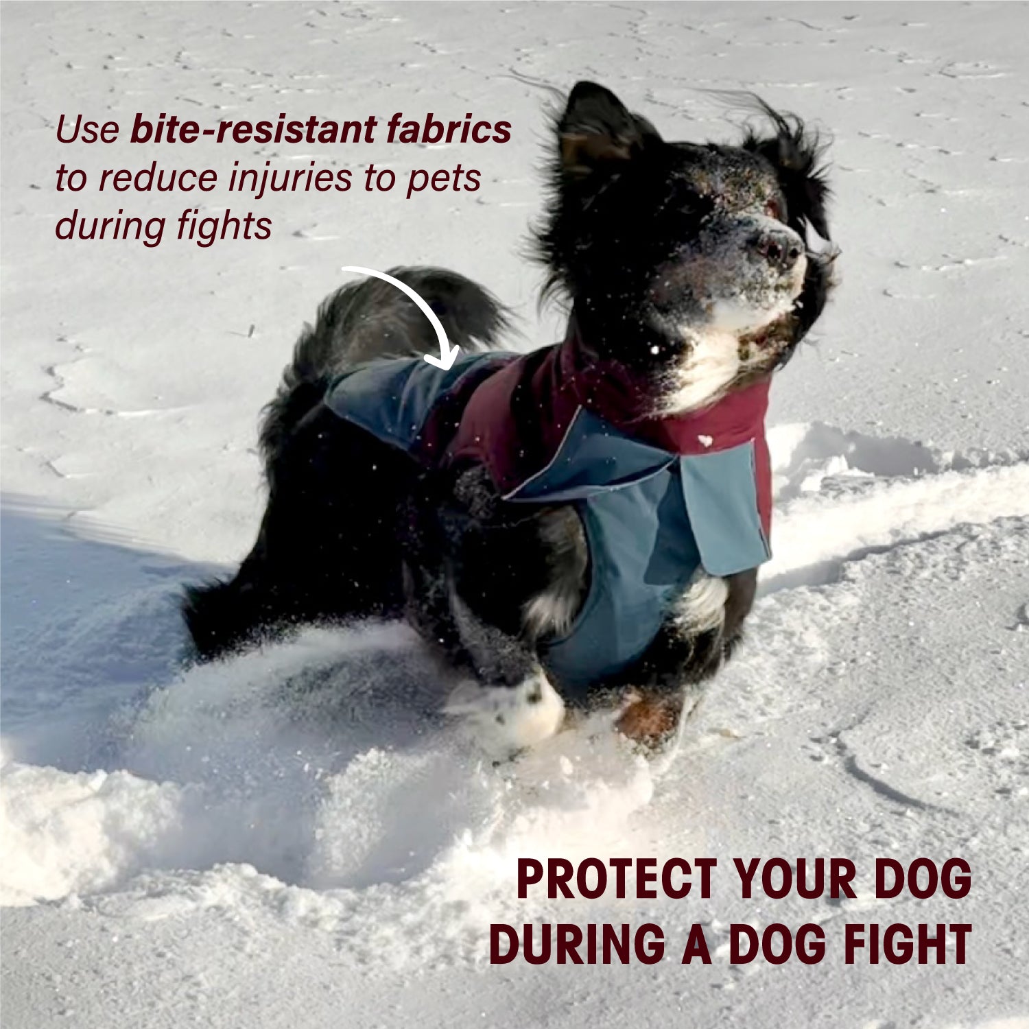 Dog Winter Outdoor Jacket Warm & Waterproof