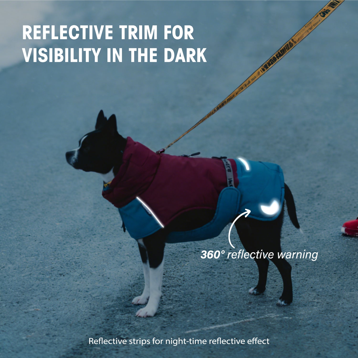 Dog Winter Outdoor Jacket Warm & Waterproof