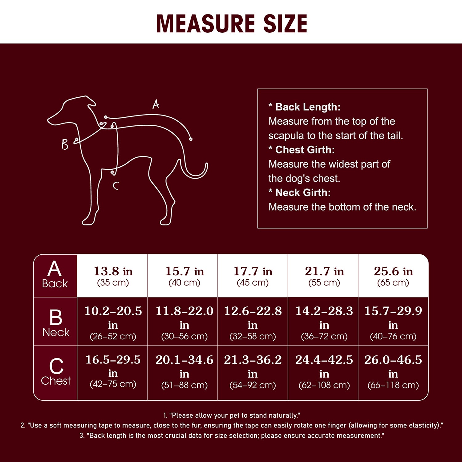 Dog Raincoat Waterproof & Lightweight