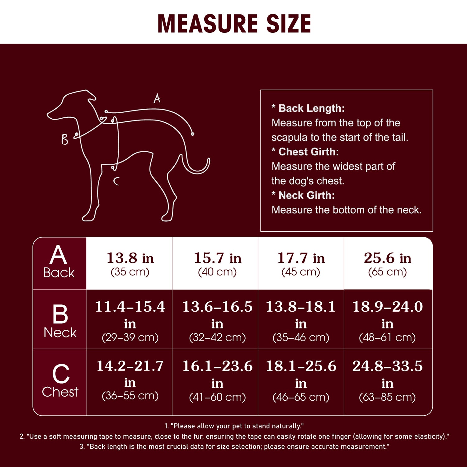 Dog Winter Jacket and Raincoat Set  Waterproof 2-Pack